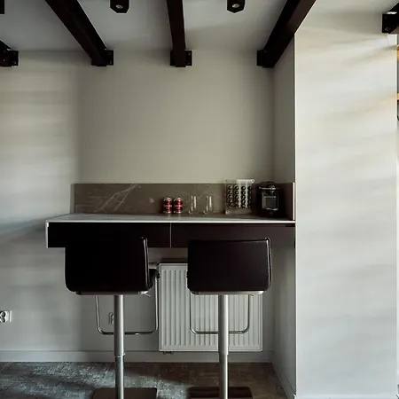 Kameralny Loft Z Widokiem Na Odre Apartment